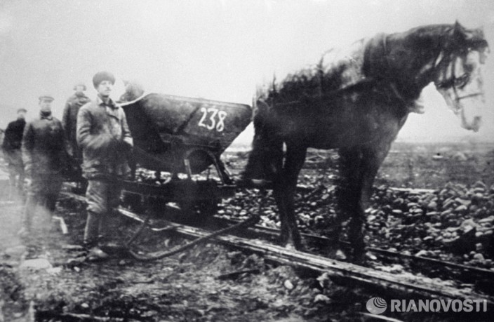 Horse is driving trolley by rails