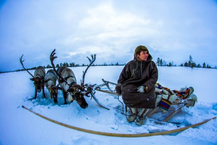 How one gene mutation helped indigenous peoples of Siberia adapt to harsh conditions