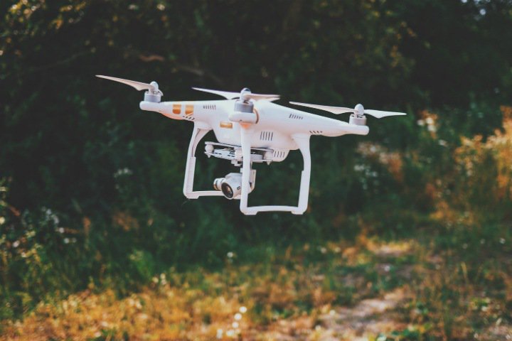Drones will save crop from vole mice